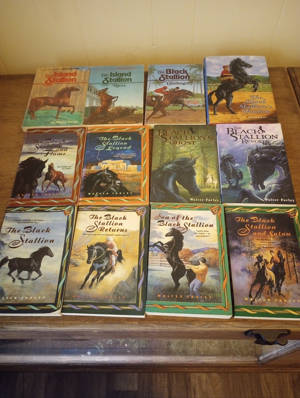 Lot Of 12 Black Stallion/ Island Stallion Books Walter Farley